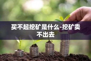 买不起挖矿是什么-挖矿卖不出去