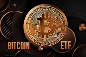 比特币有几个交易所：