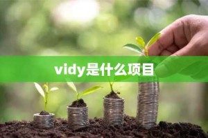 vidy是什么项目