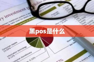 黑pos是什么