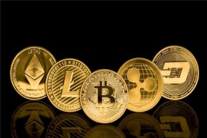 狗狗币官网怎么调成中文，狗狗币官网中文设置教程