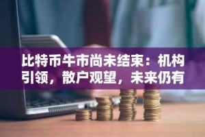 比特币牛市尚未结束：机构引领，散户观望，未来仍有上涨空间