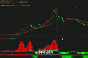 比特币交易率实时分析，市场动态与影响因素