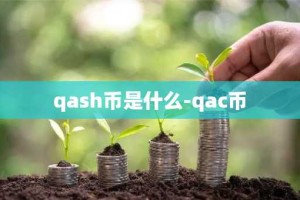 qash币是什么-qac币