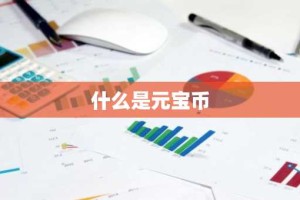 什么是元宝币