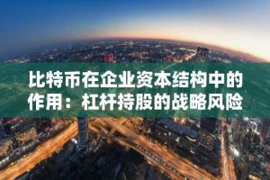 比特币在企业资本结构中的作用：杠杆持股的战略风险与机遇