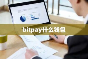 bitpay什么钱包