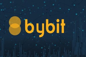 Bybit交易所KYC认证详细教程 2025最新操作指南