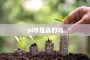 pi币是真的吗