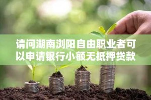 请问湖南浏阳自由职业者可以申请银行小额无抵押贷款？