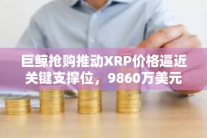 巨鲸抢购推动XRP价格逼近关键支撑位，9860万美元资金外流引发市场乐观情绪