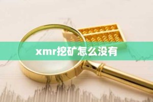 xmr挖矿怎么没有