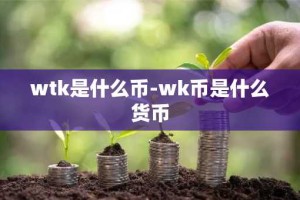 wtk是什么币-wk币是什么货币