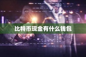 比特币现金有什么钱包