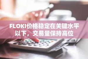 FLOKI价格稳定在关键水平以下，交易量保持高位