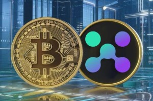 bitcoin cash交易所：bitcoincash交易所