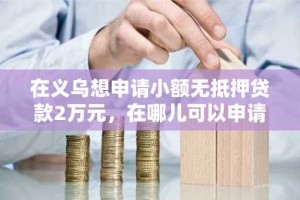 在义乌想申请小额无抵押贷款2万元，在哪儿可以申请？