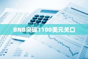 BNB突破1100美元关口