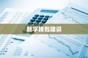 数字钱包建设