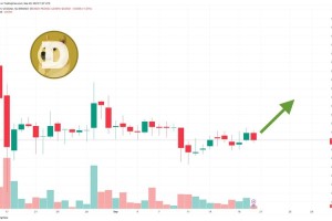 狗狗币价格走势：狗狗币价格走势图