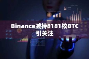 Binance减持8181枚BTC引关注