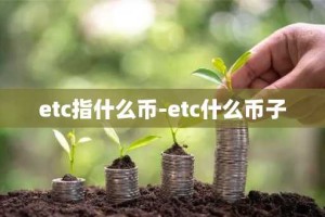 etc指什么币-etc什么币子