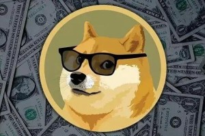 MEME是散户一夜暴富的机会_迷因币近1个月收益达7.59亿美元