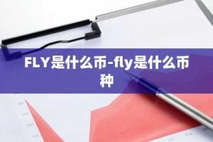 FLY是什么币-fly是什么币种