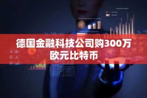 德国金融科技公司购300万欧元比特币