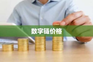 数字链价格