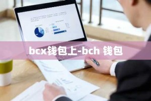 bcx钱包上-bch 钱包