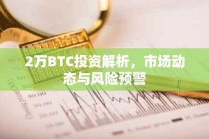 2万BTC投资解析，市场动态与风险预警