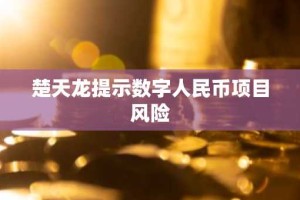 楚天龙提示数字人民币项目风险