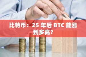 比特币：25 年后 BTC 能涨到多高？