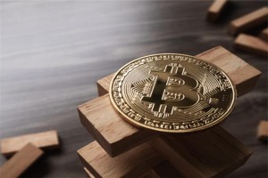 泰达币值得投资吗，泰达币投资价值分析