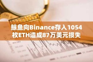 鲸鱼向Binance存入1054枚ETH造成87万美元损失