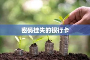 密码挂失的银行卡