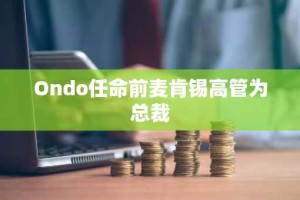 Ondo任命前麦肯锡高管为总裁