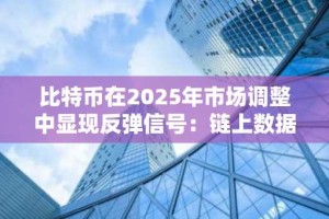 比特币在2025年市场调整中显现反弹信号：链上数据与机构动向提供关键线索