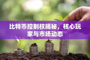 比特币控制权揭秘，核心玩家与市场动态