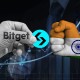 shib币为什么这么火