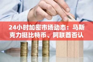 24小时加密市场动态：马斯克力挺比特币、阿联酋否认TON黄金签证传闻