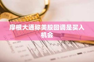 摩根大通称美股回调是买入机会