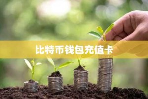 比特币钱包充值卡