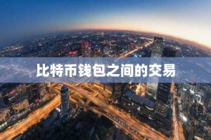 比特币钱包之间的交易
