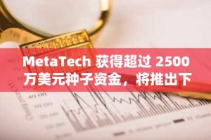 MetaTech 获得超过 2500 万美元种子资金，将推出下一代区块链和人工智能投资生态系统