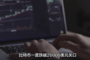 孙哥比特币深度解析，市场动态与投资策略