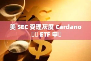 美 SEC 受理灰度 Cardano 現貨 ETF 申請