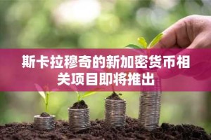 斯卡拉穆奇的新加密货币相关项目即将推出
