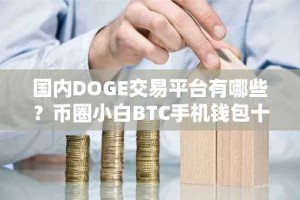 国内DOGE交易平台有哪些？币圈小白BTC手机钱包十大盘点